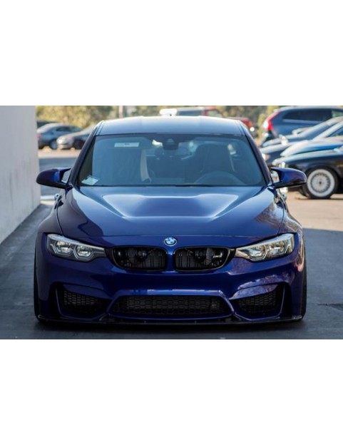 BMW M3 & M4 F80 / F82 / F83 CARBON FIBER GTS STYLE HOOD