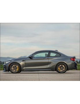 VORSTEINER BMW F87 M2 VRS AERO CARBON FIBER SIDE SKIRTS 2016-2018